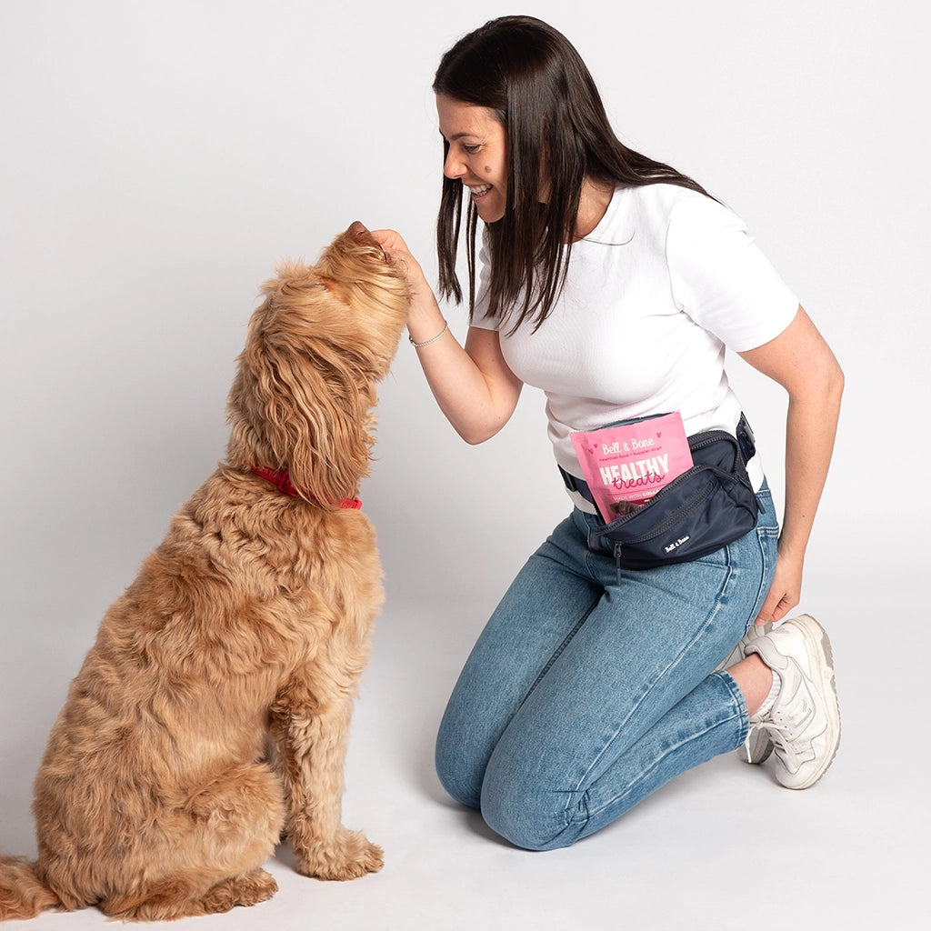 On-The-Go Dog Treat Bag