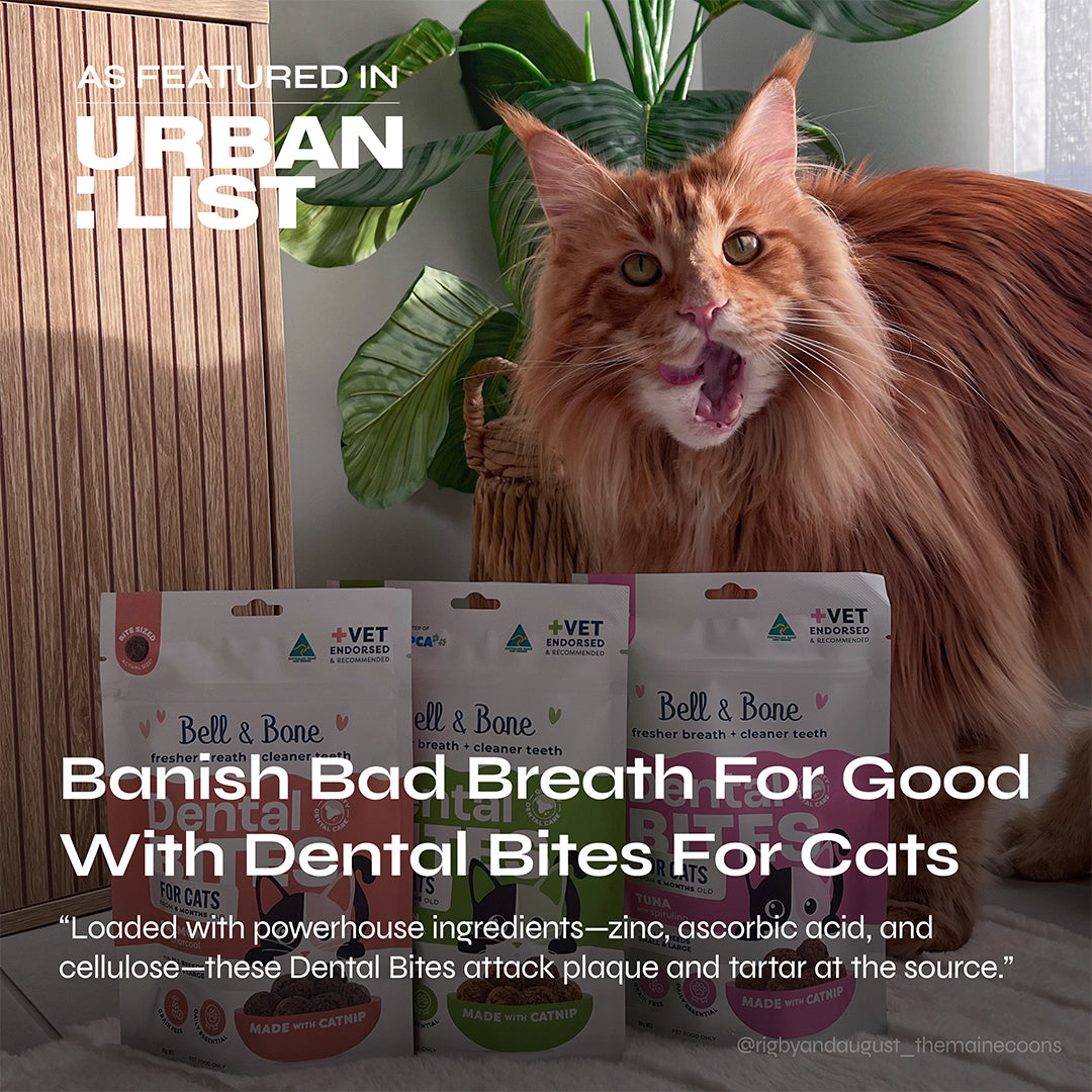 Dog & Cat Dental Care Bundle - 7 Pack
