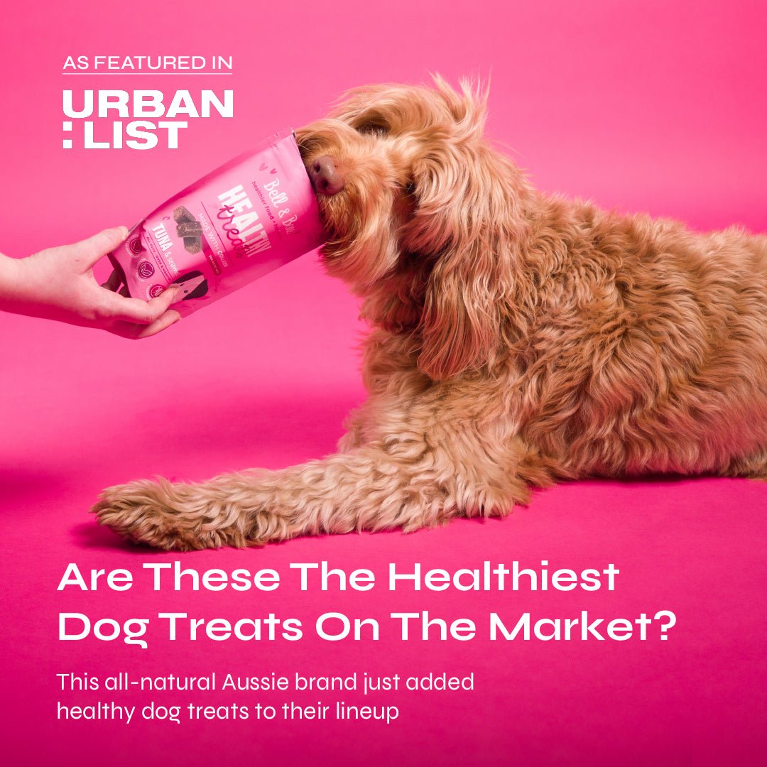 Dog Collagen Superfood Bundle - 5 Pack