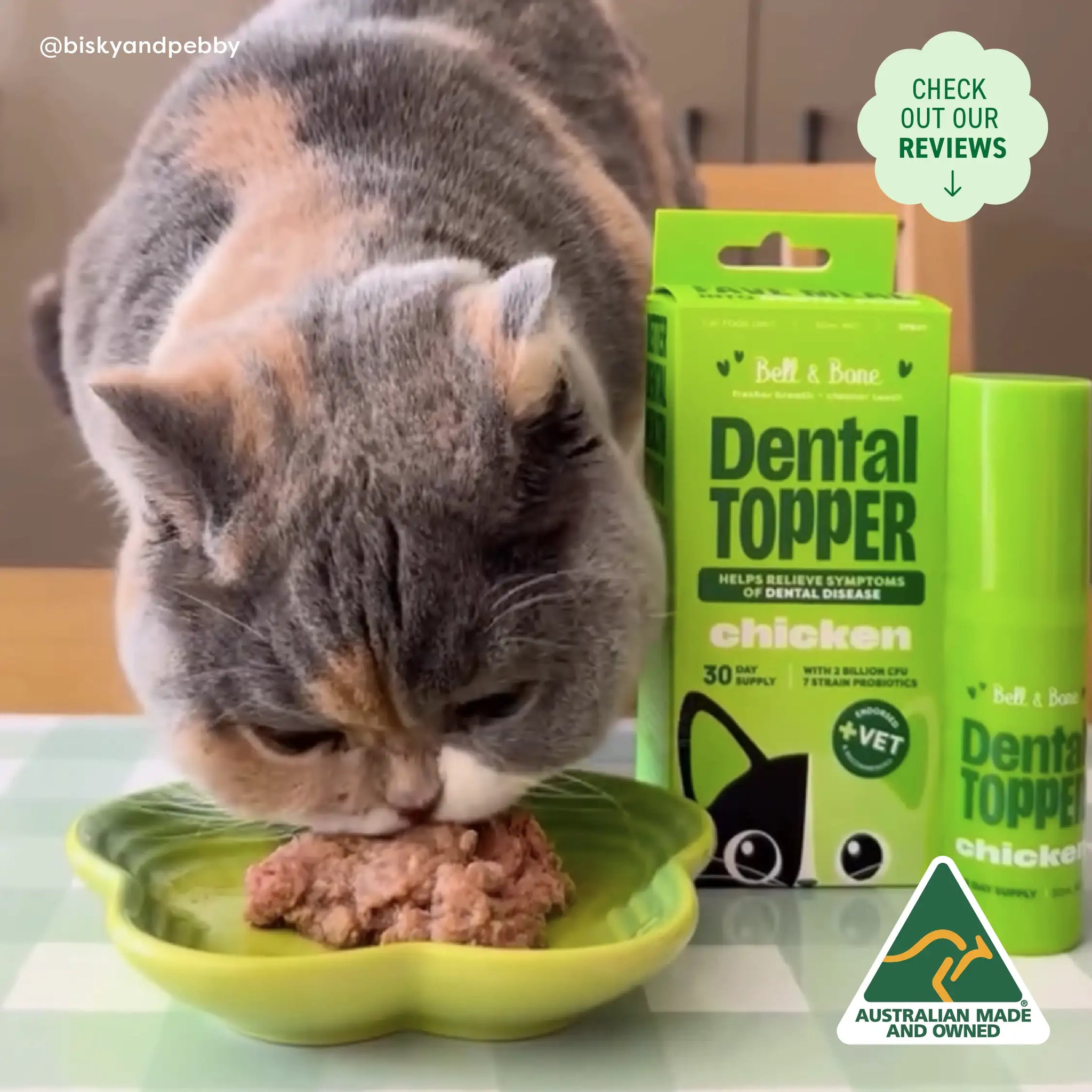 Perfect Cat Dental Care Solution Bundle - 5 Pack