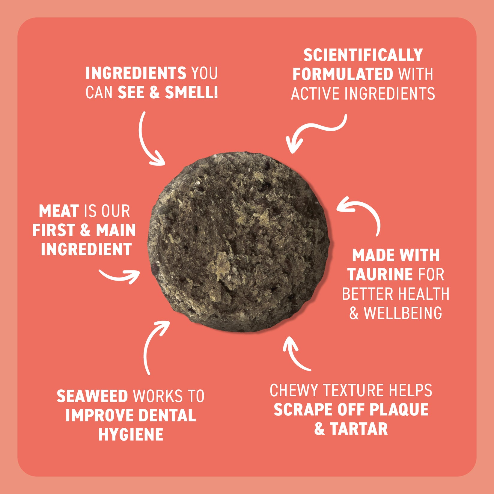 Adult Cat Dental Bites - Salmon with Charcoal