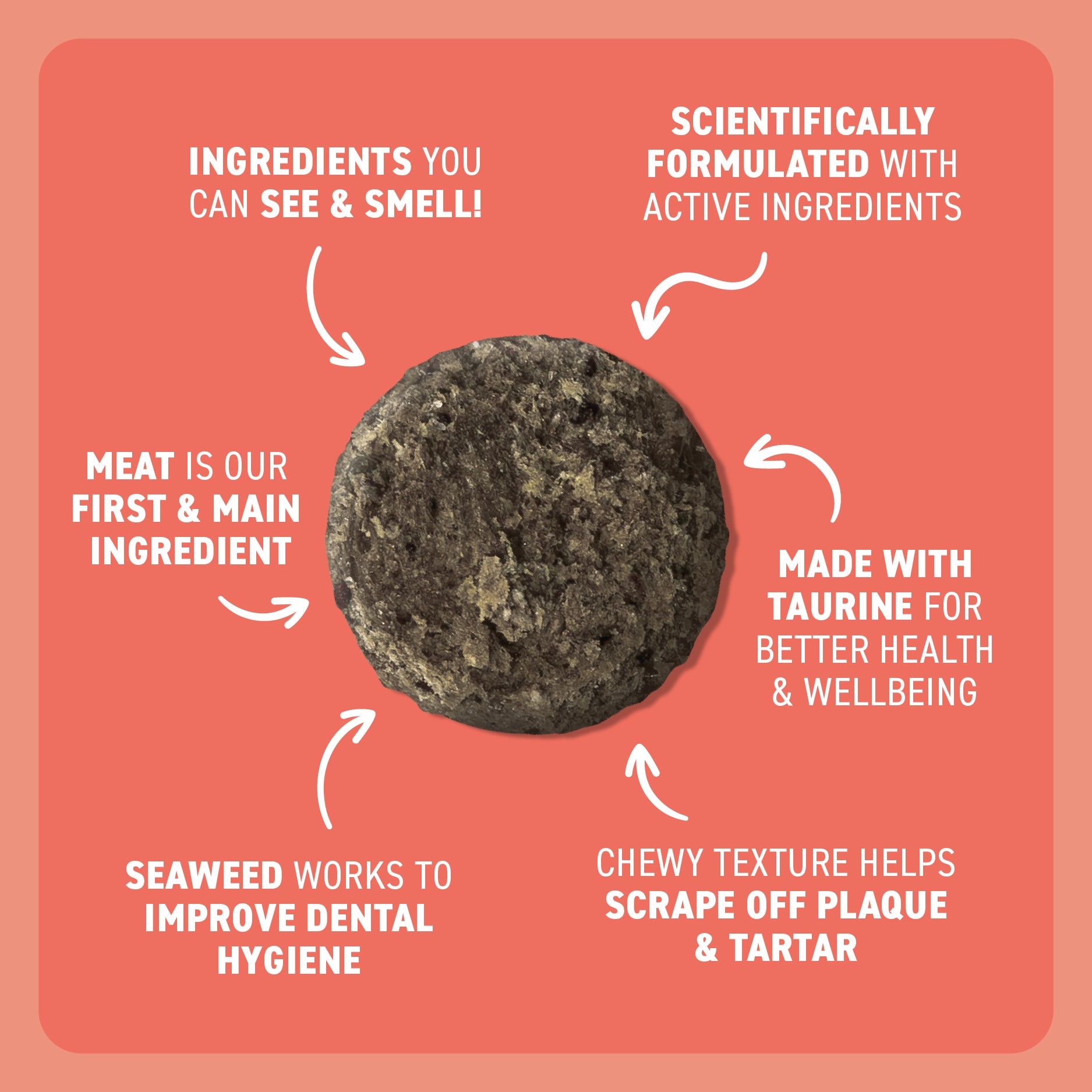 Adult Cat Dental Bites - Salmon with Charcoal