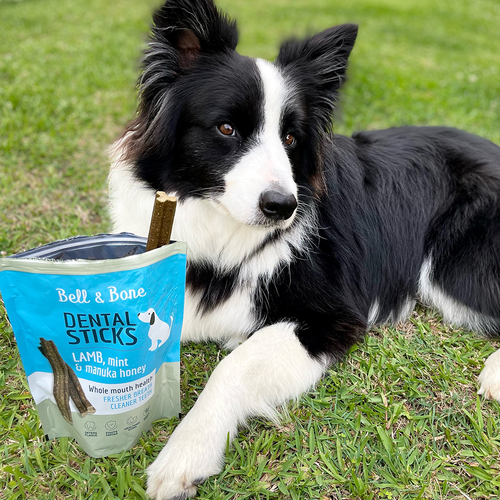 Adult Dog Dental Sticks - Lamb, Mint and Manuka Honey