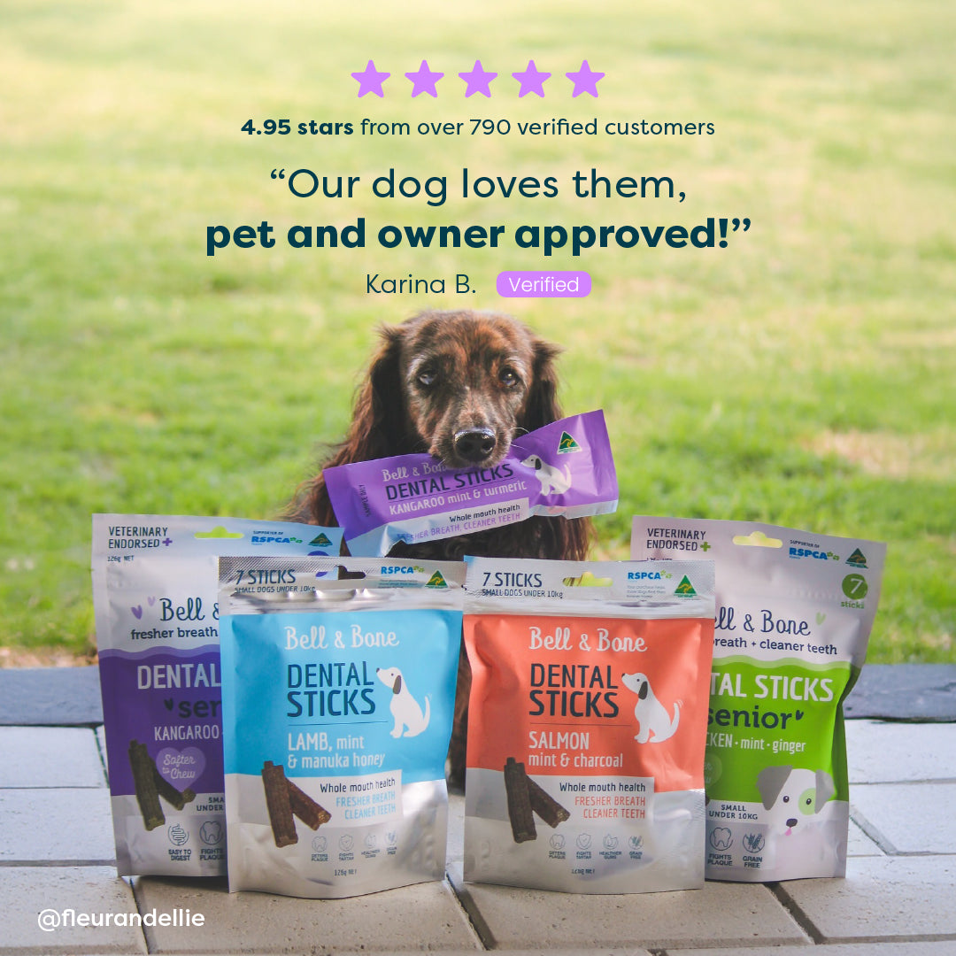 The Everything Dog Bundle - 9 Pack