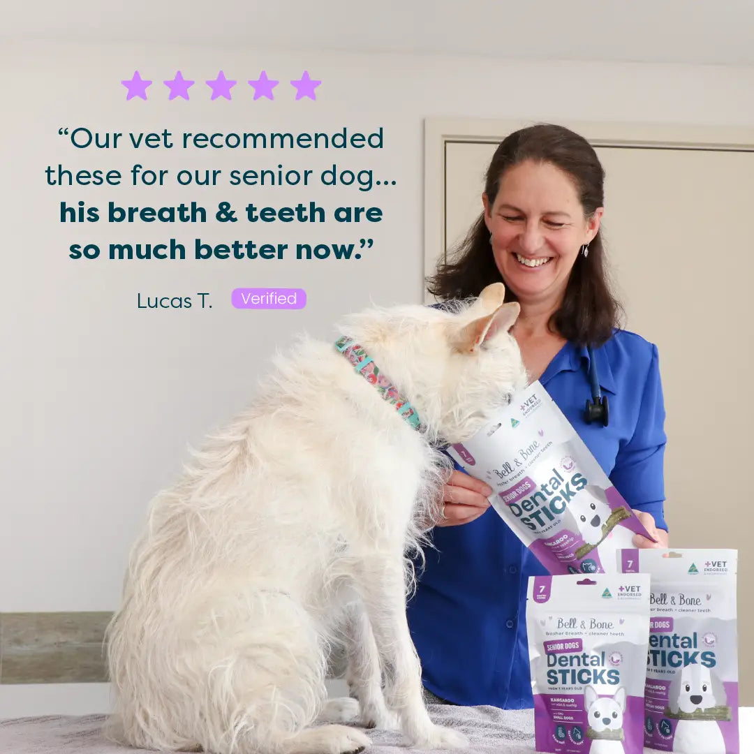 Senior Dog Dental Treats Bundle - 4 pack