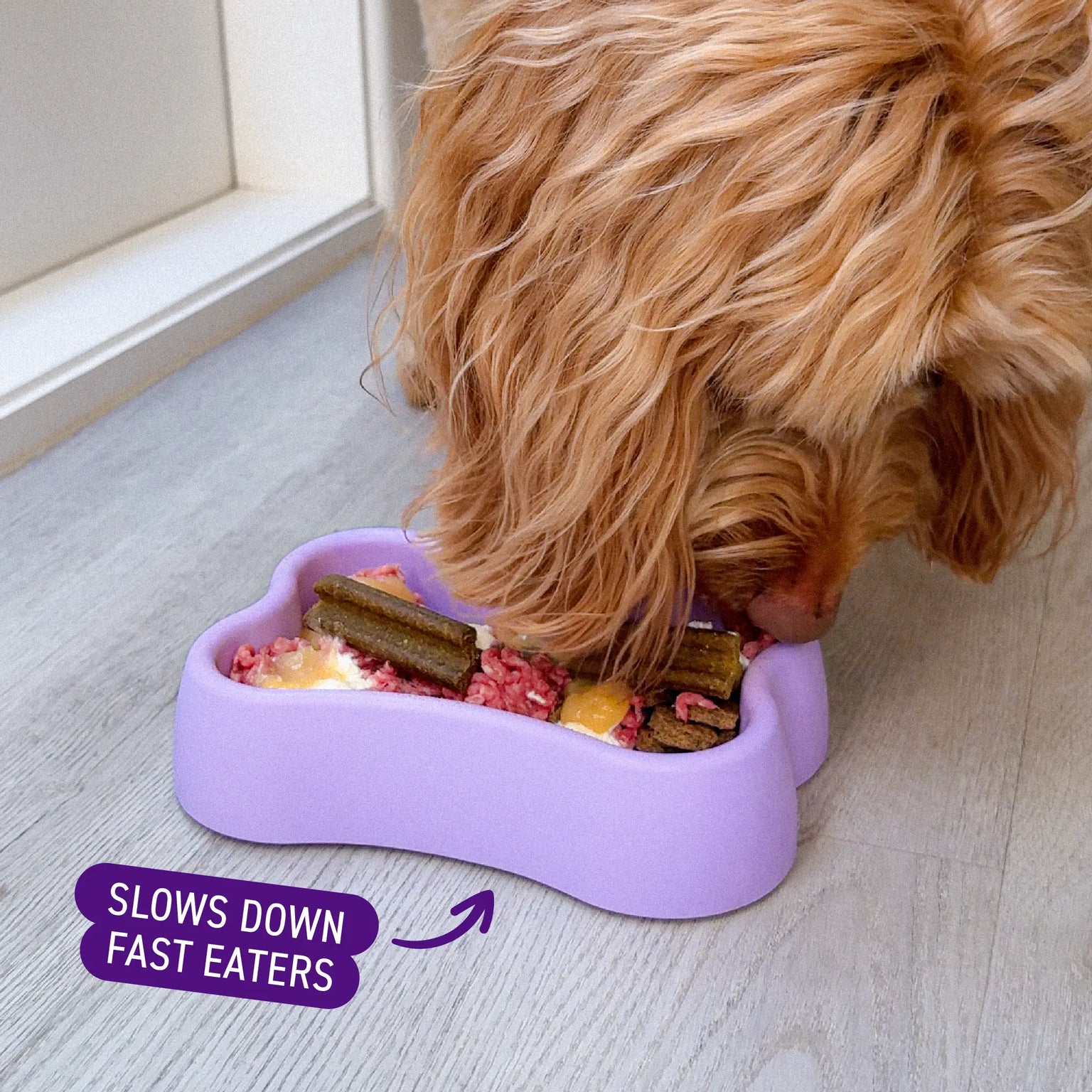 Dog Slow Feeder Bowl