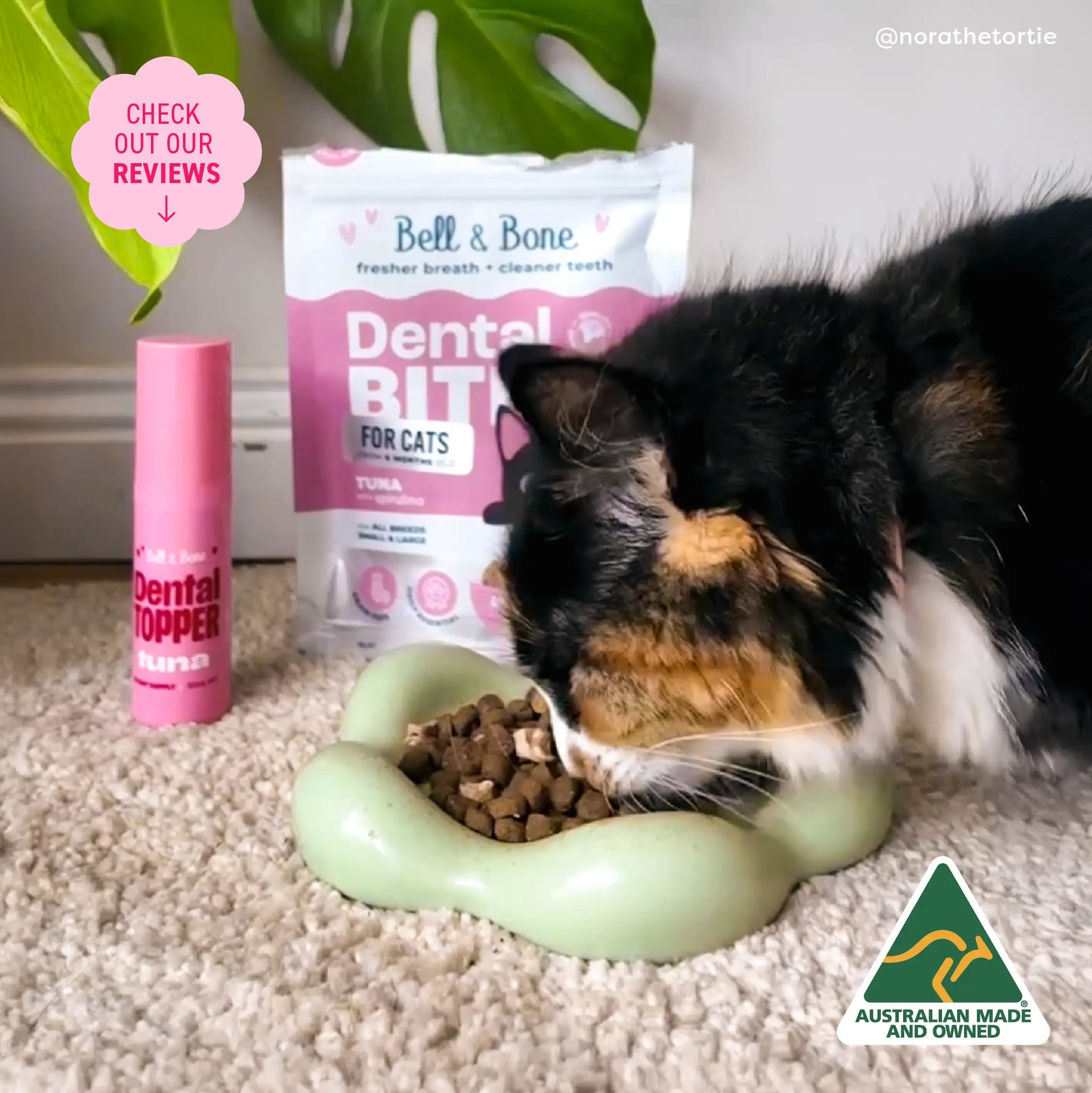 Perfect Cat Dental Care Solution Bundle - 5 Pack