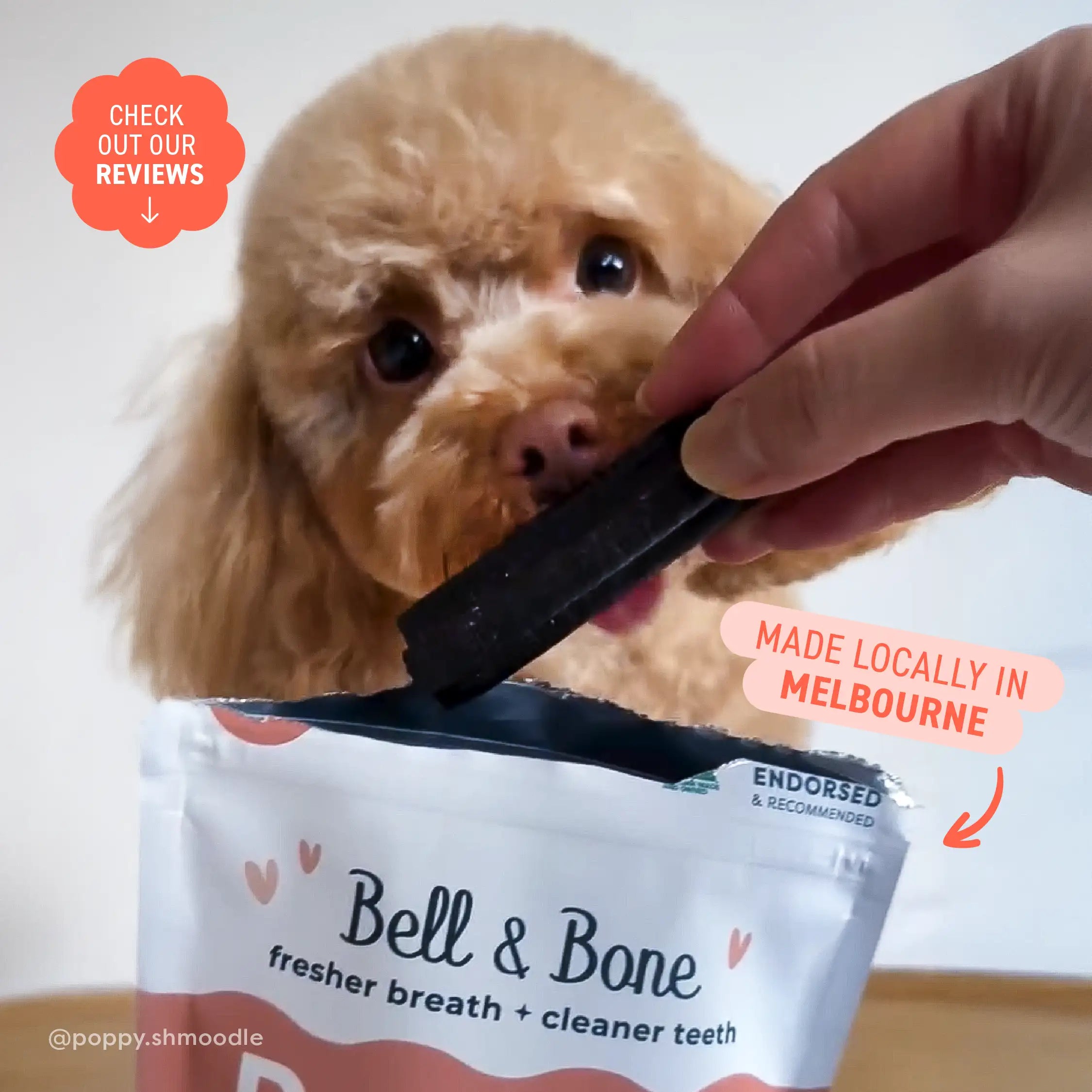 Charcoal for Dogs Salmon, Mint and Charcoal Dog Dental Sticks