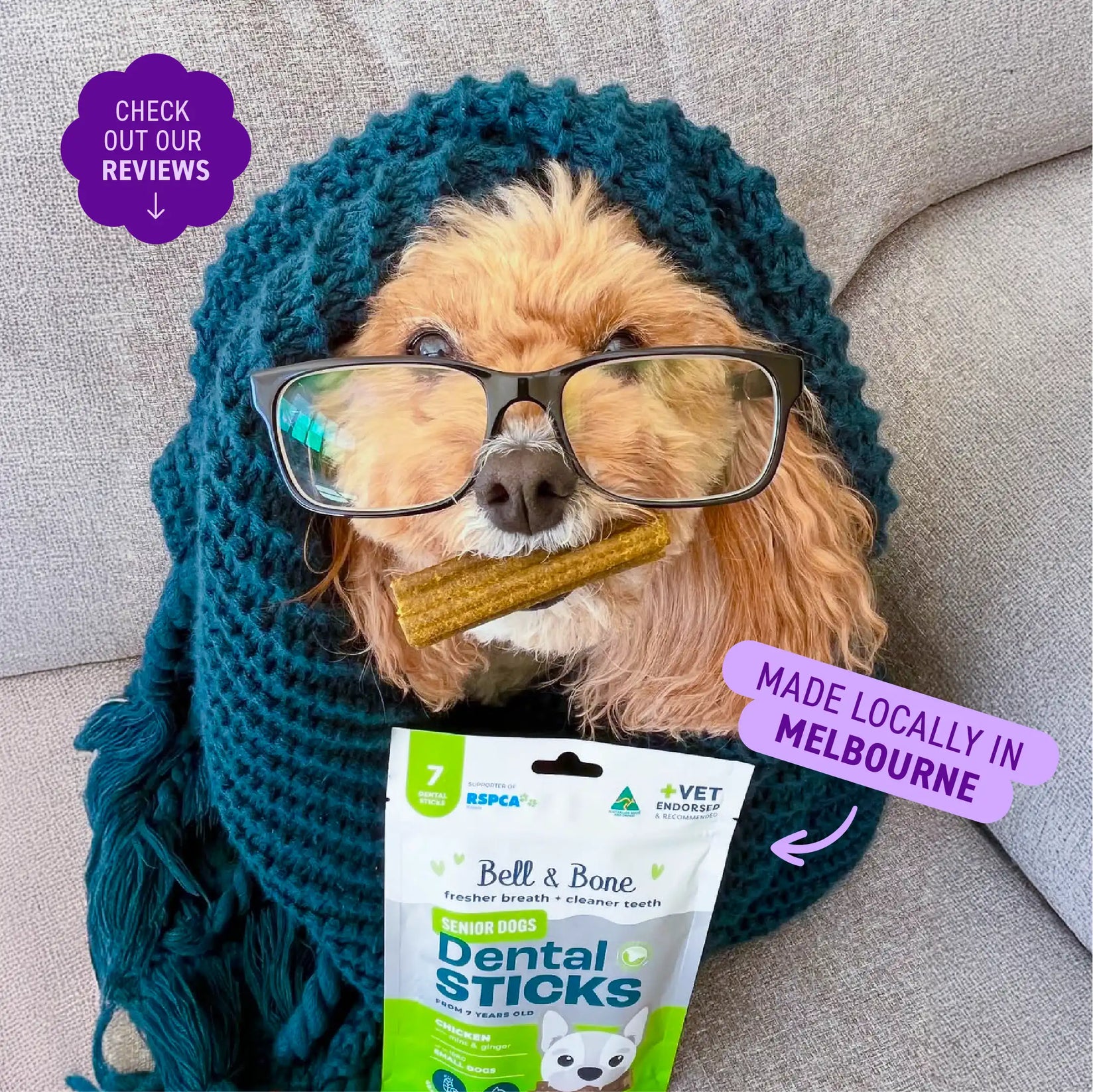 Senior Dog Dental Treats Bundle - 4 pack