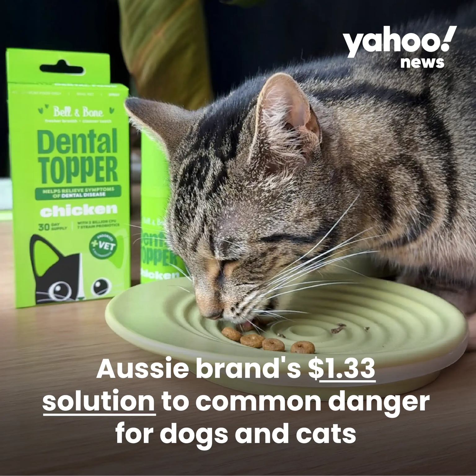 Chicken Lovers Dental Bundle for Cats - 3 Pack
