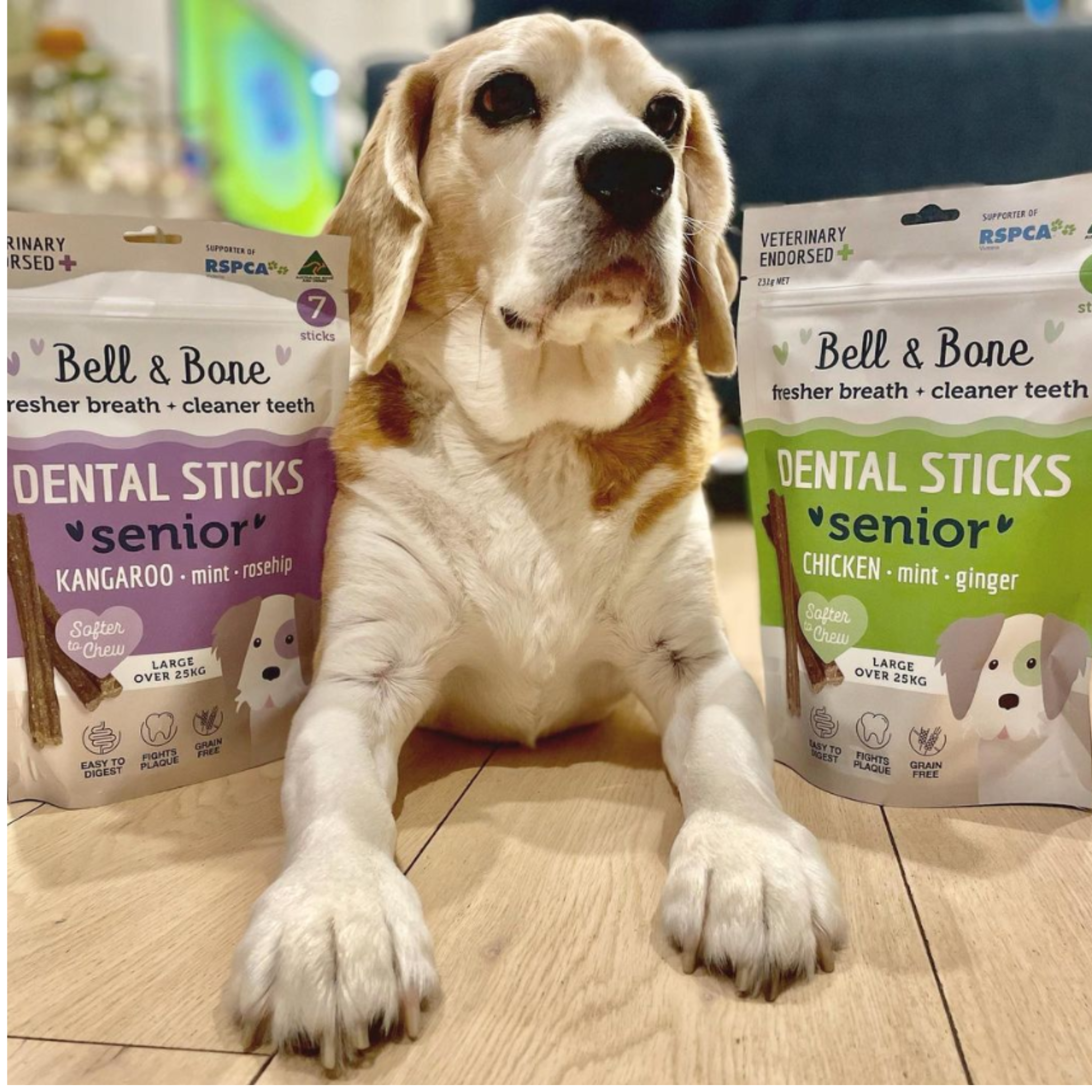 Healthy Dental Chews for Senior Dogs Bell Bone – Bell and Bone