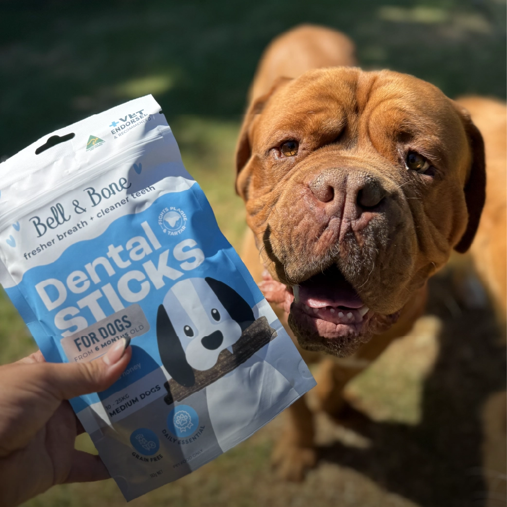 Adult Dog Dental Sticks - Lamb, Mint and Manuka Honey
