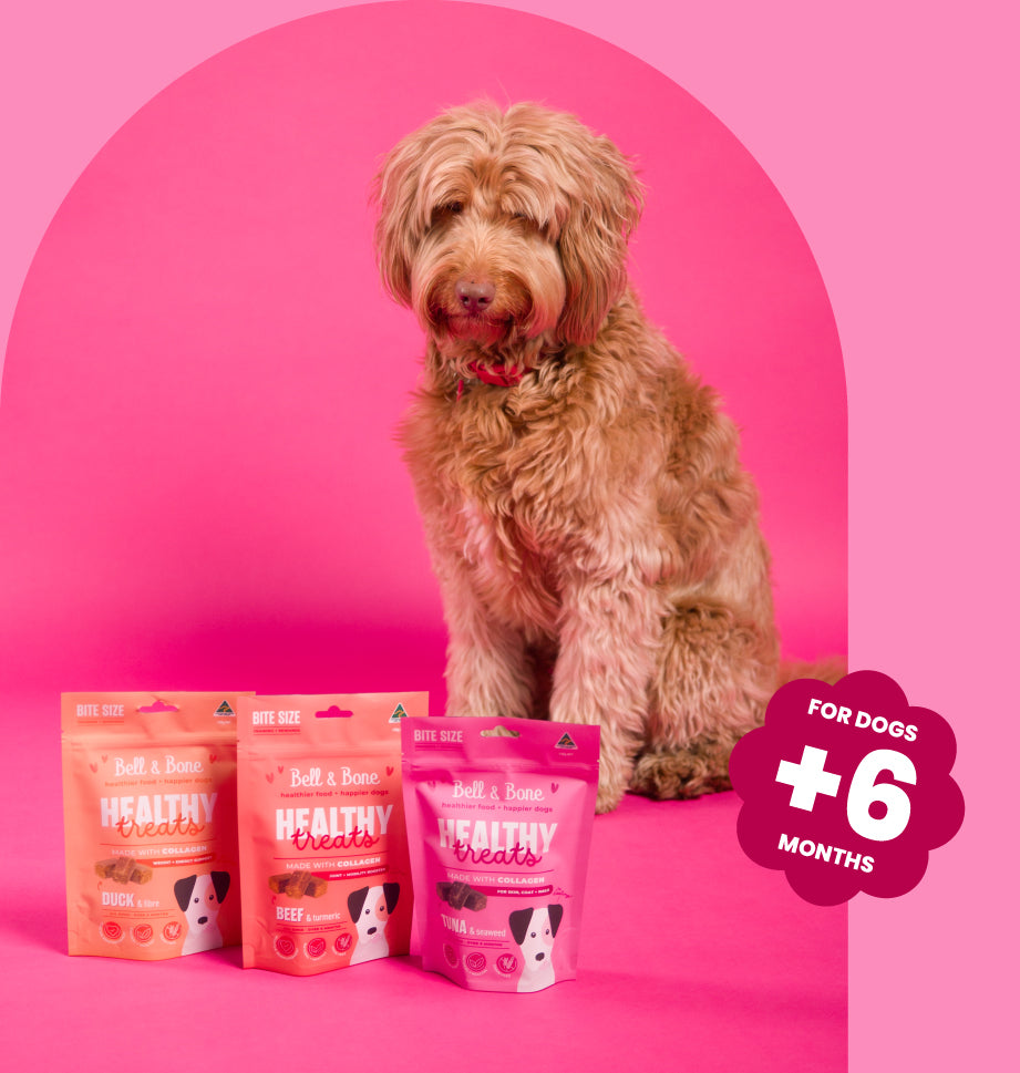 Dog Healthy Treats: Duck Fibre for weight and energy support