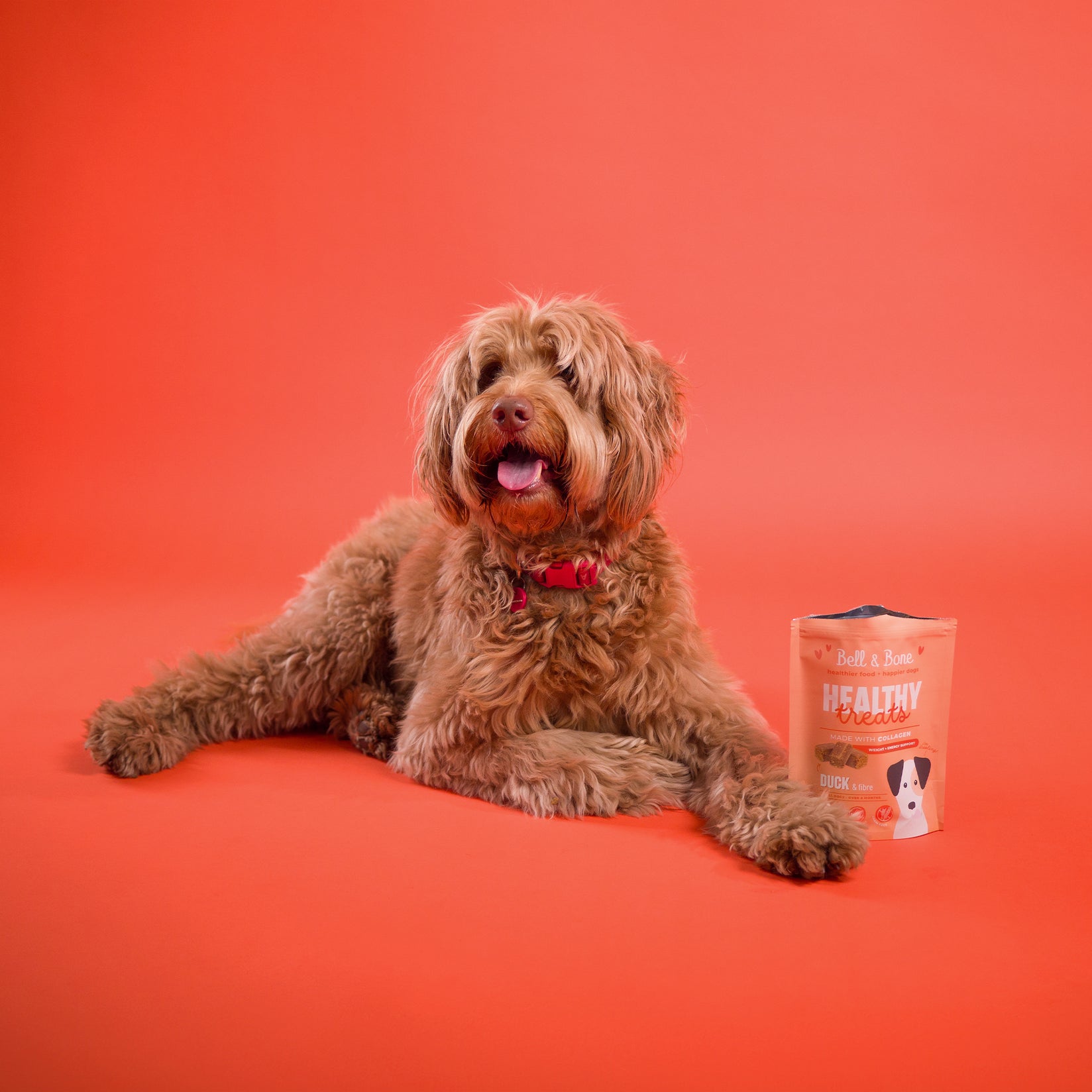 Dog Healthy Treats: Duck & Fibre for weight and energy support