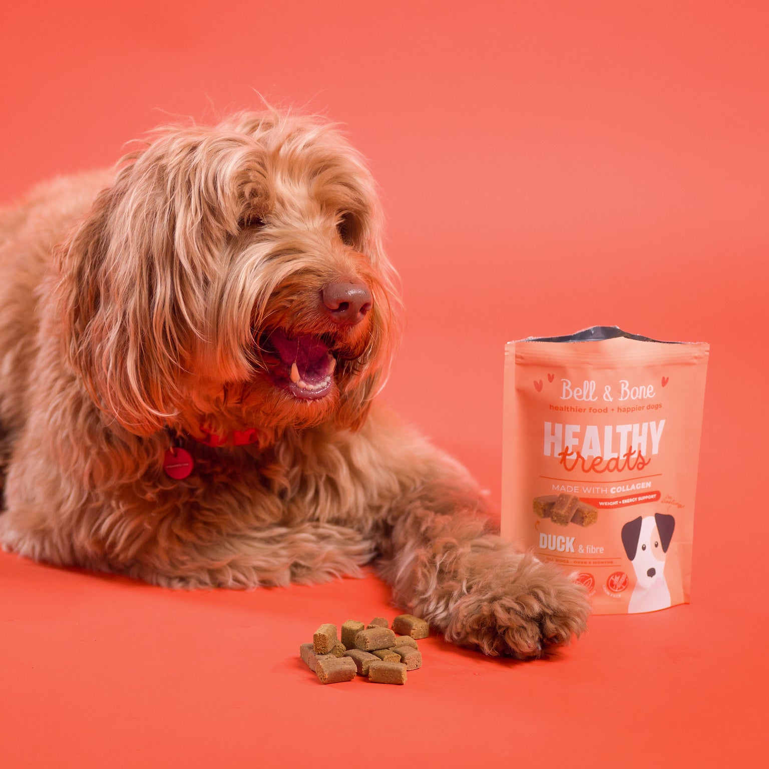 Dog Healthy Treats: Duck & Fibre for weight and energy support
