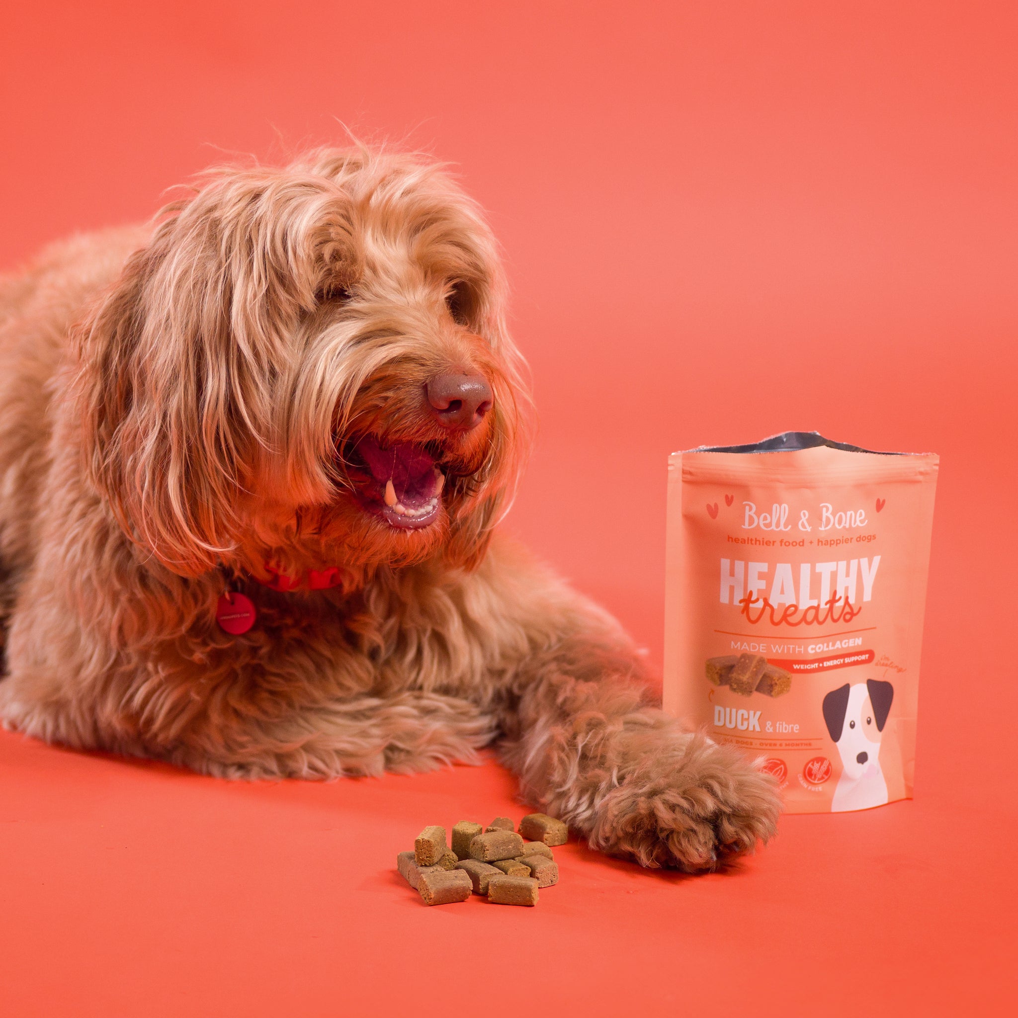 Dog Healthy Treats: Duck & Fibre for weight and energy support