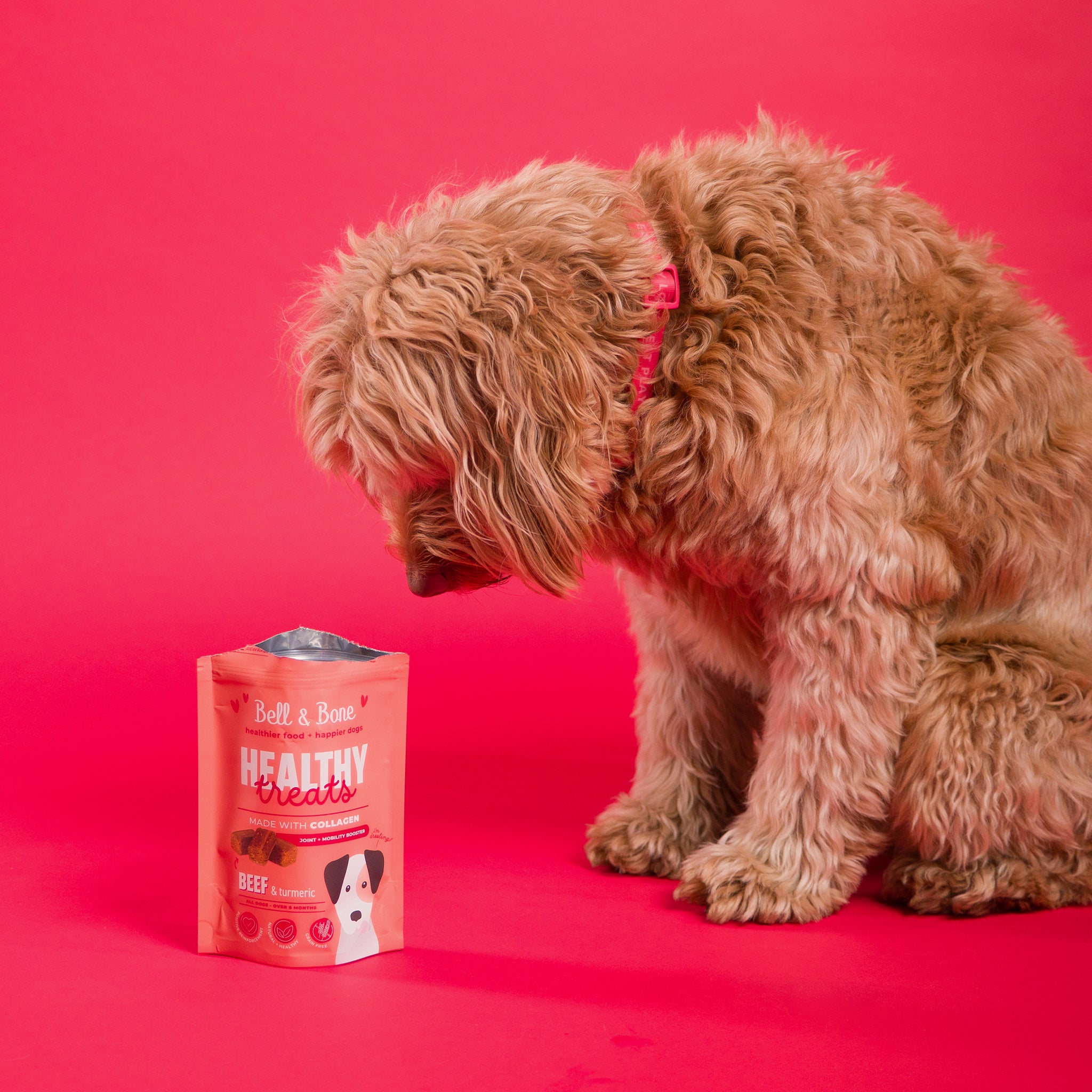 Dog Healthy Treats: Beef & Turmeric for joint and mobility booster