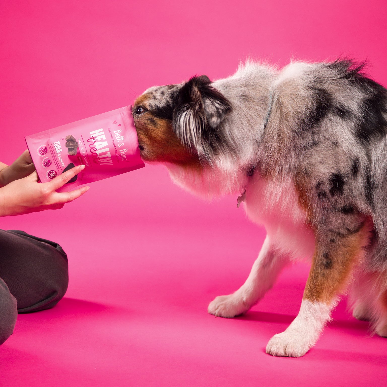 Dog Healthy Treats: Tuna & Seaweed for skin, coat and nails