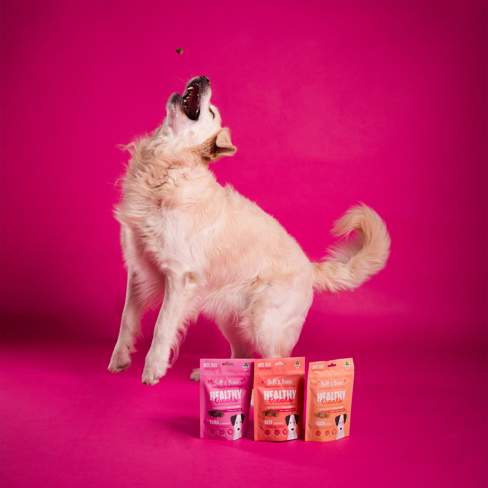 Dog Healthy Treats Bundle - 3 Pack