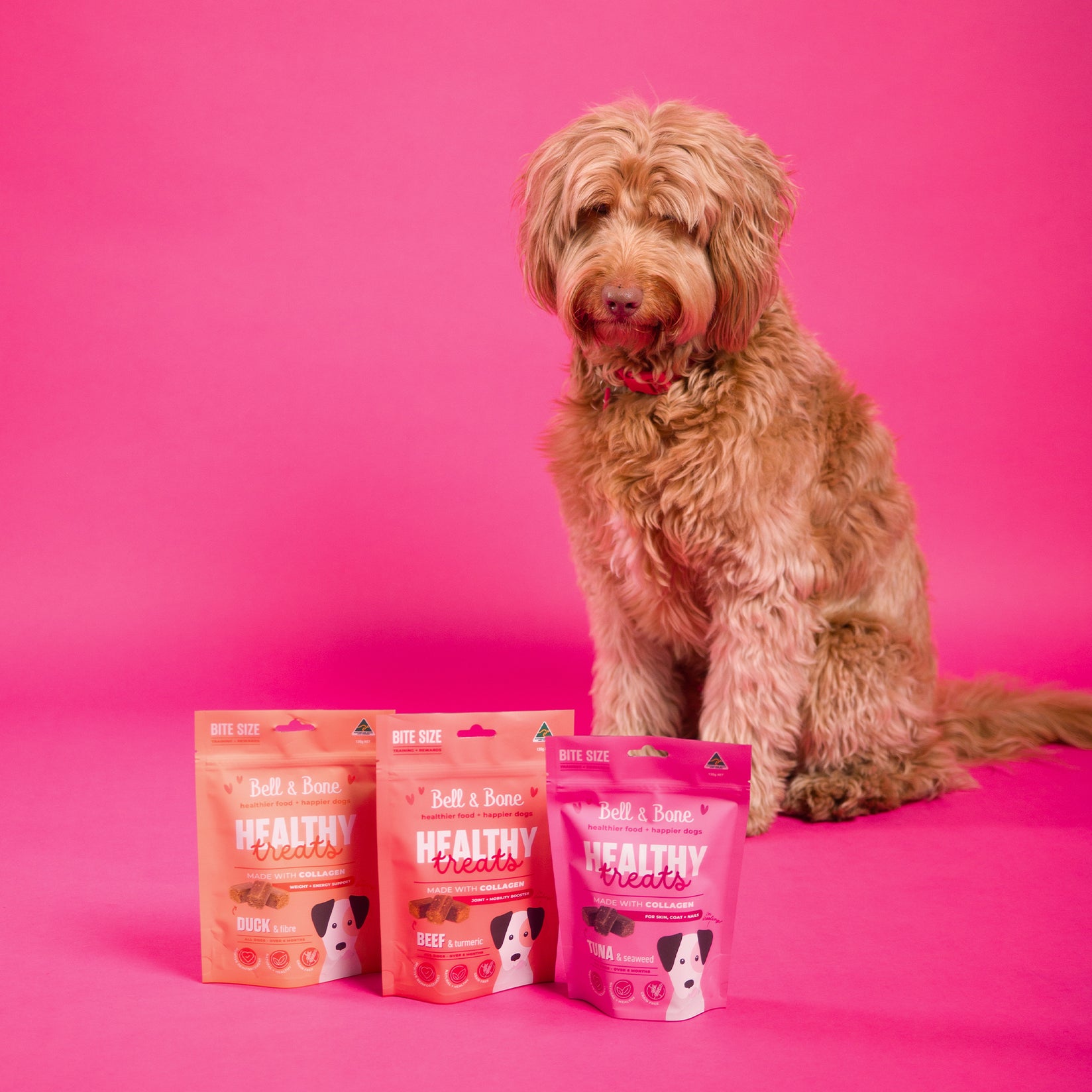 Dog Healthy Treats: Tuna & Seaweed for skin, coat and nails