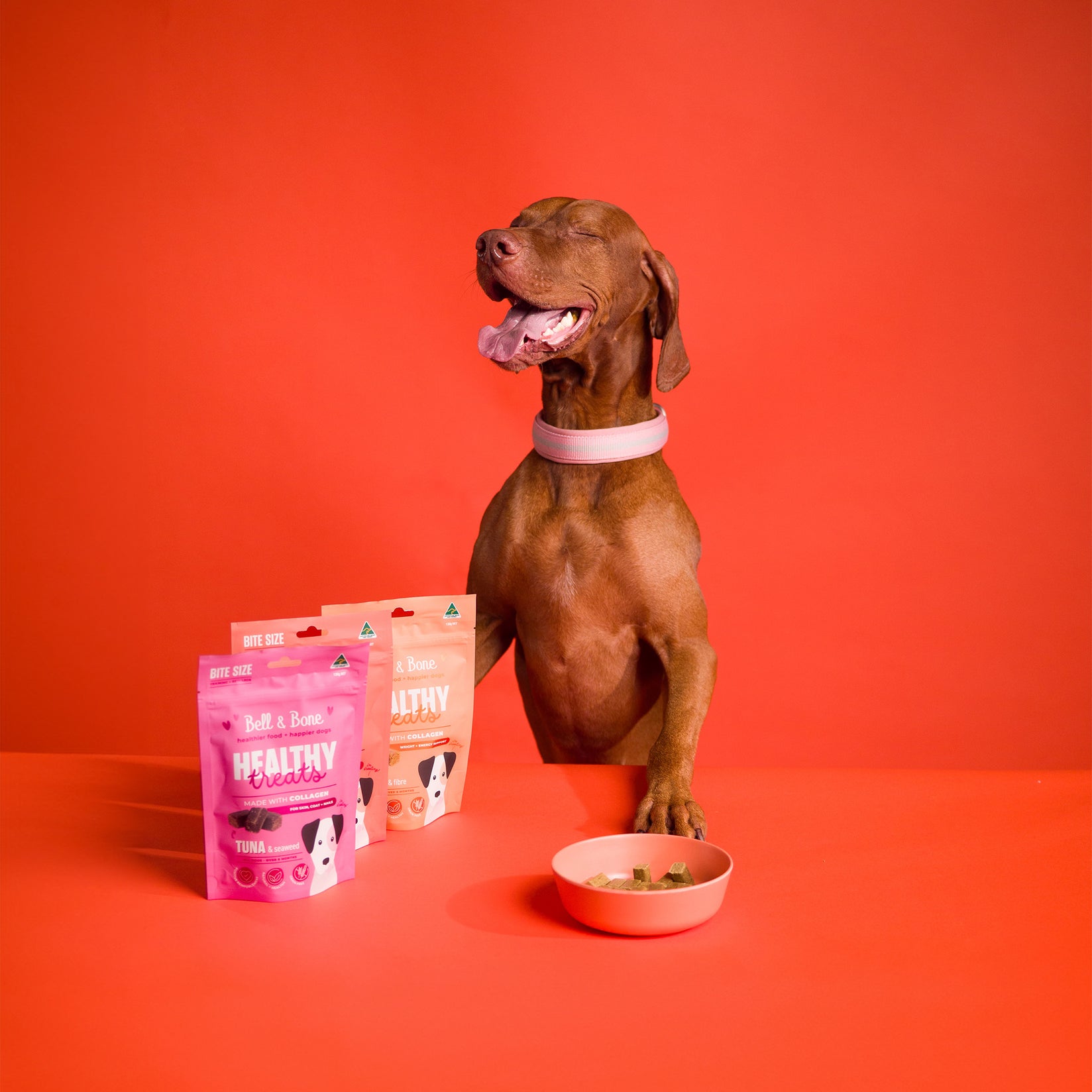 Dog Healthy Treats Bundle - 3 Pack