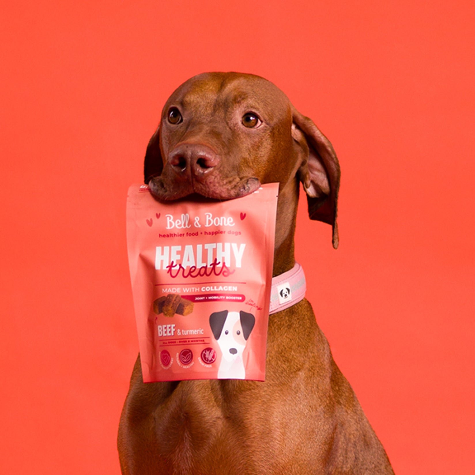 Dog Healthy Treats: Beef & Turmeric for joint and mobility booster