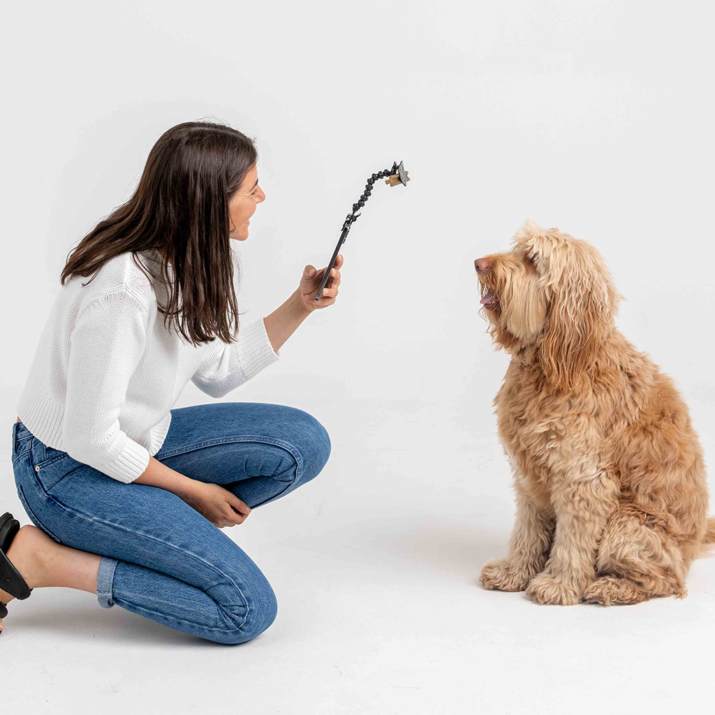Woman uses selfie stick and treats to take photograph of dog