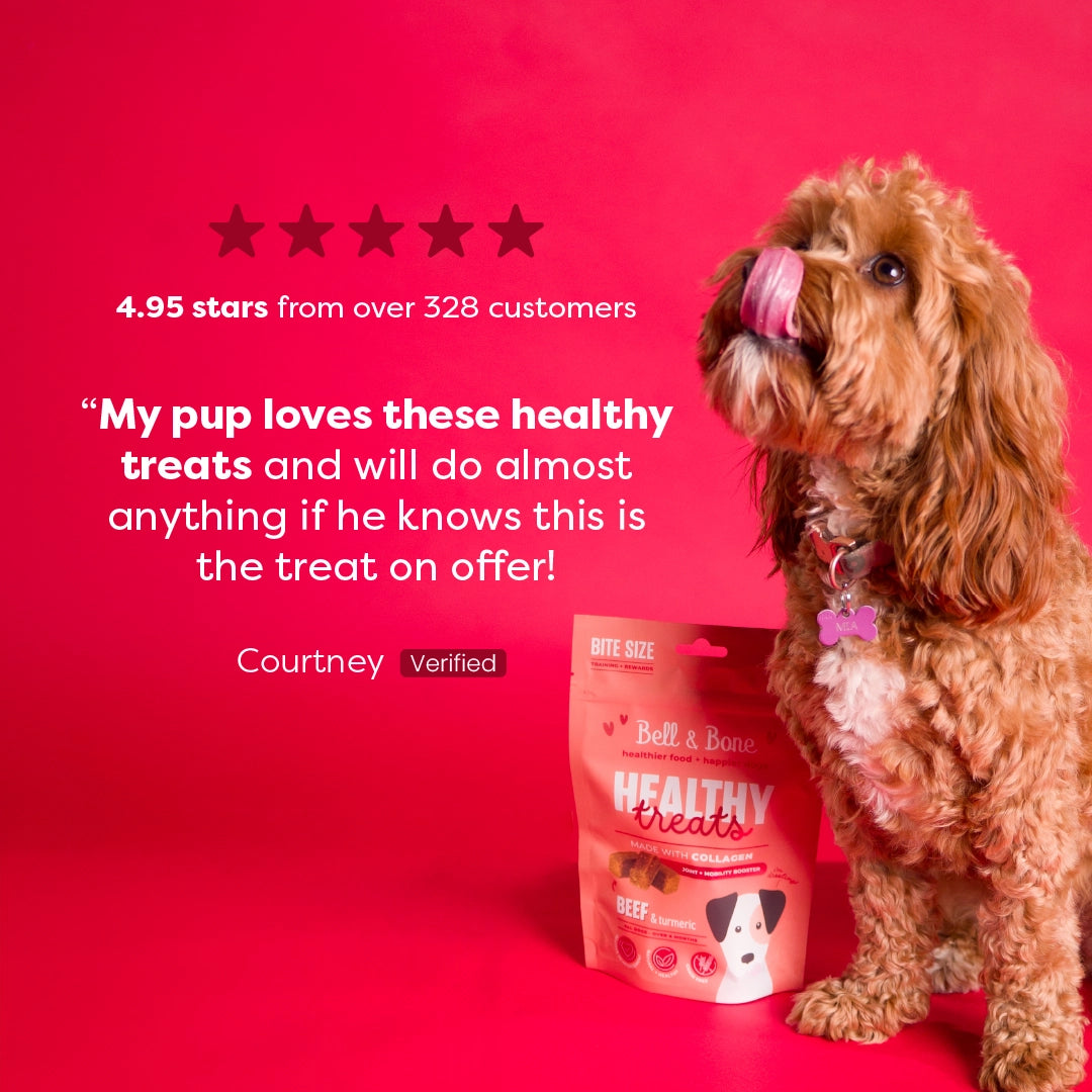 Dog Collagen Superfood Bundle - 5 Pack