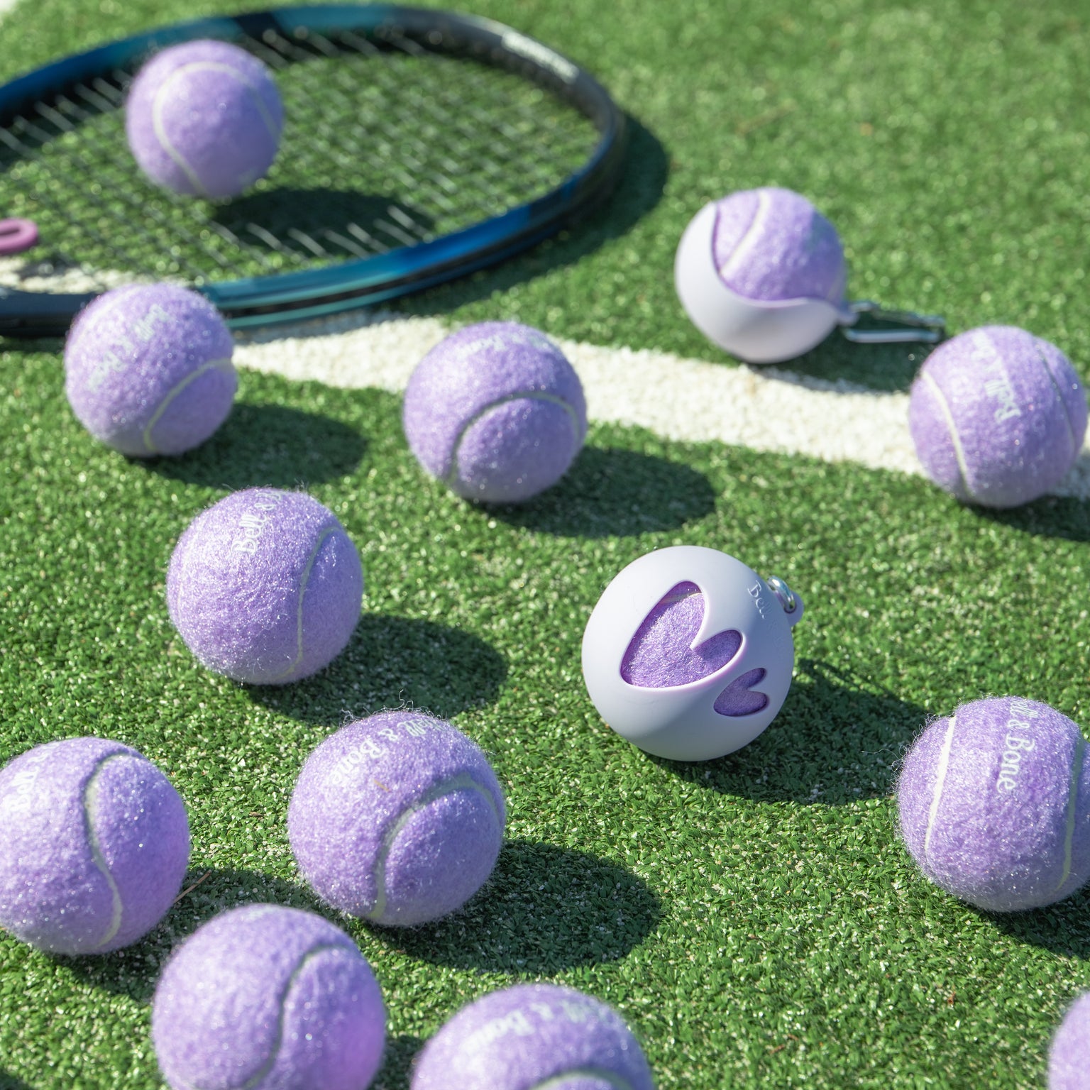 Dog Tennis Ball Holder Set