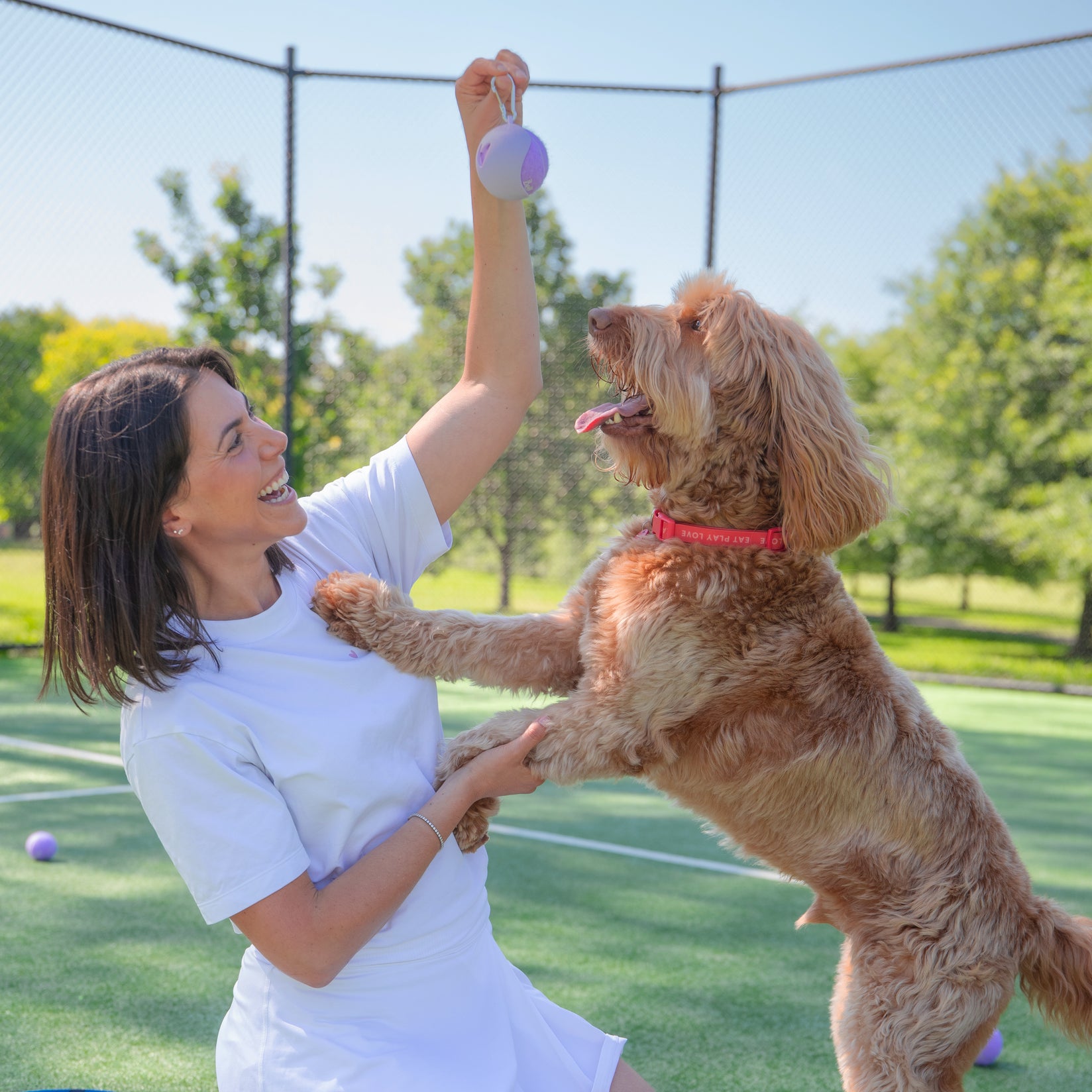 Dog Tennis Ball Holder Set