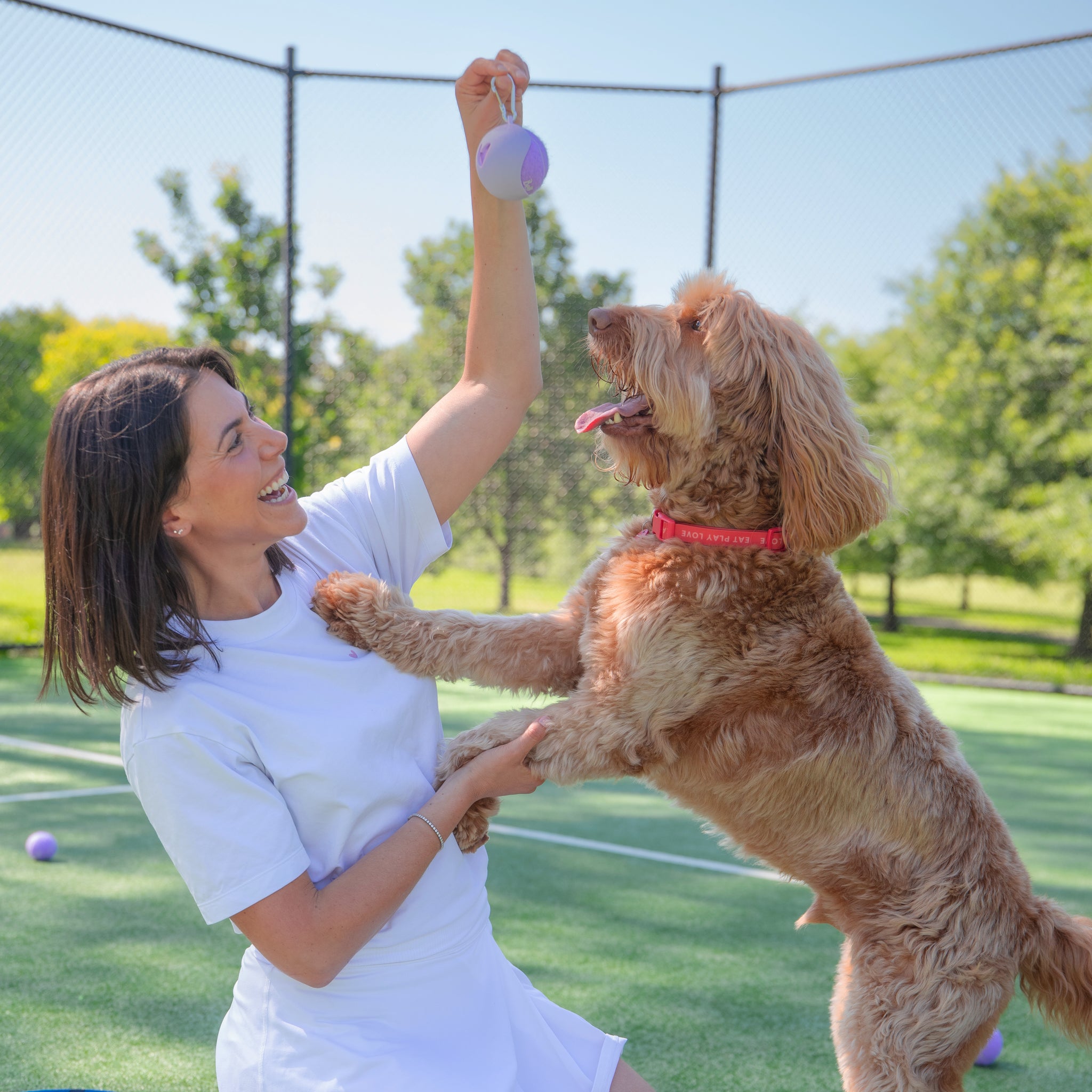 Dog Tennis Ball Holder Set