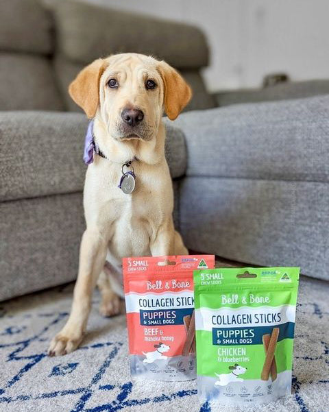 Dog Collagen Sticks - Chicken and Blueberries