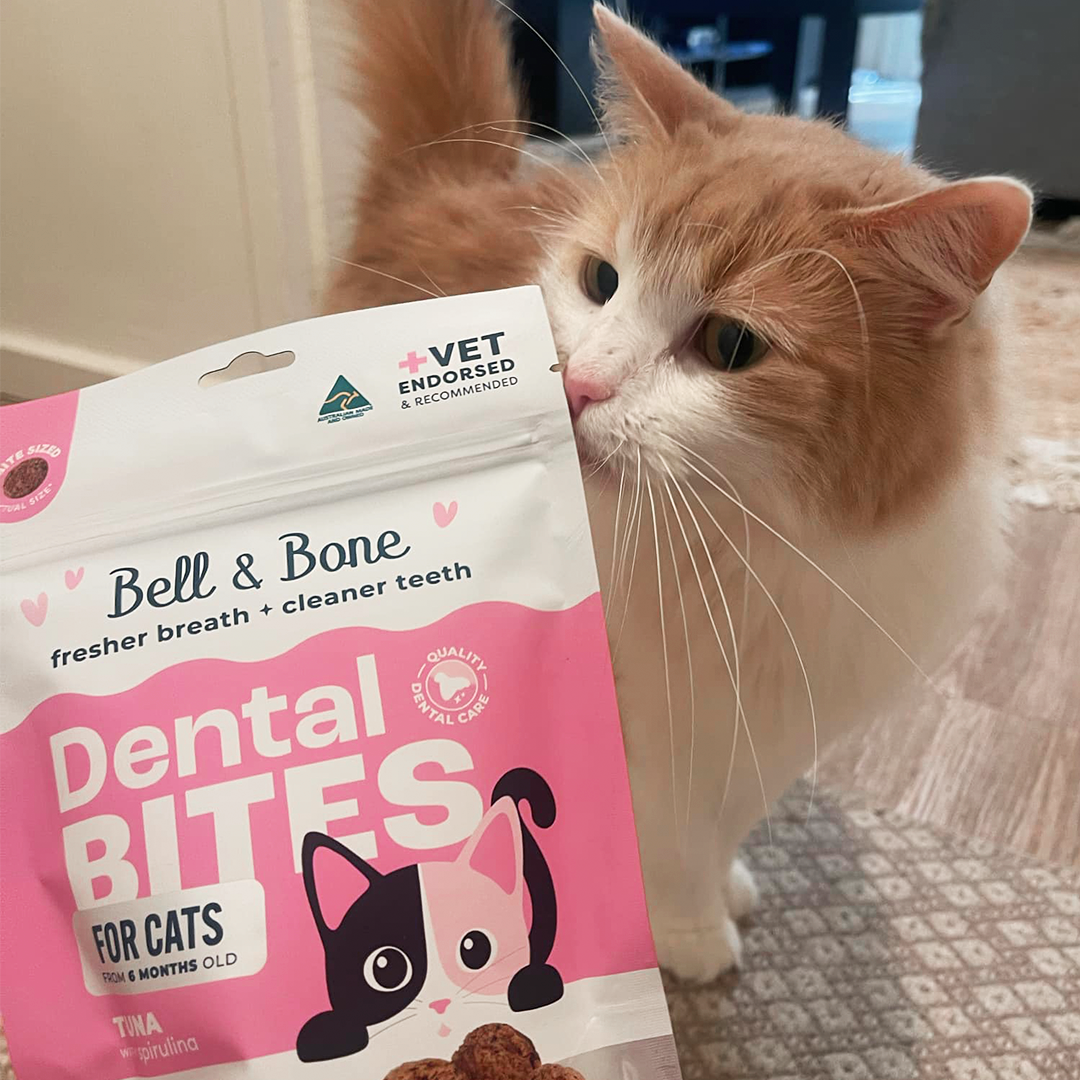Adult Cat Dental Bites - Tuna with Spirulina