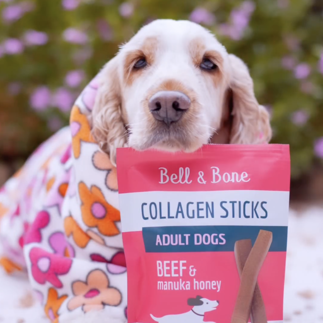Dog Collagen Sticks - Beef and Manuka Honey
