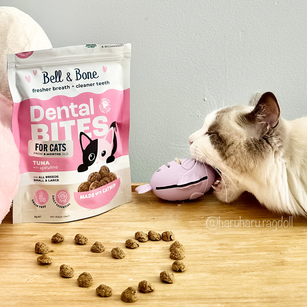 Interactive Cat Treat Toy - Fish