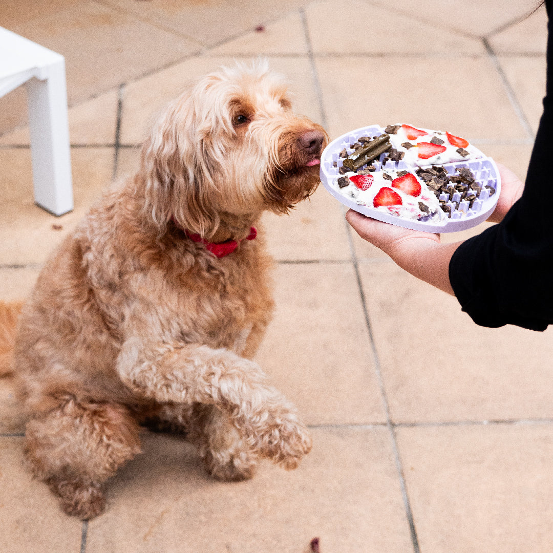 Dog Lick Mat - Lilac