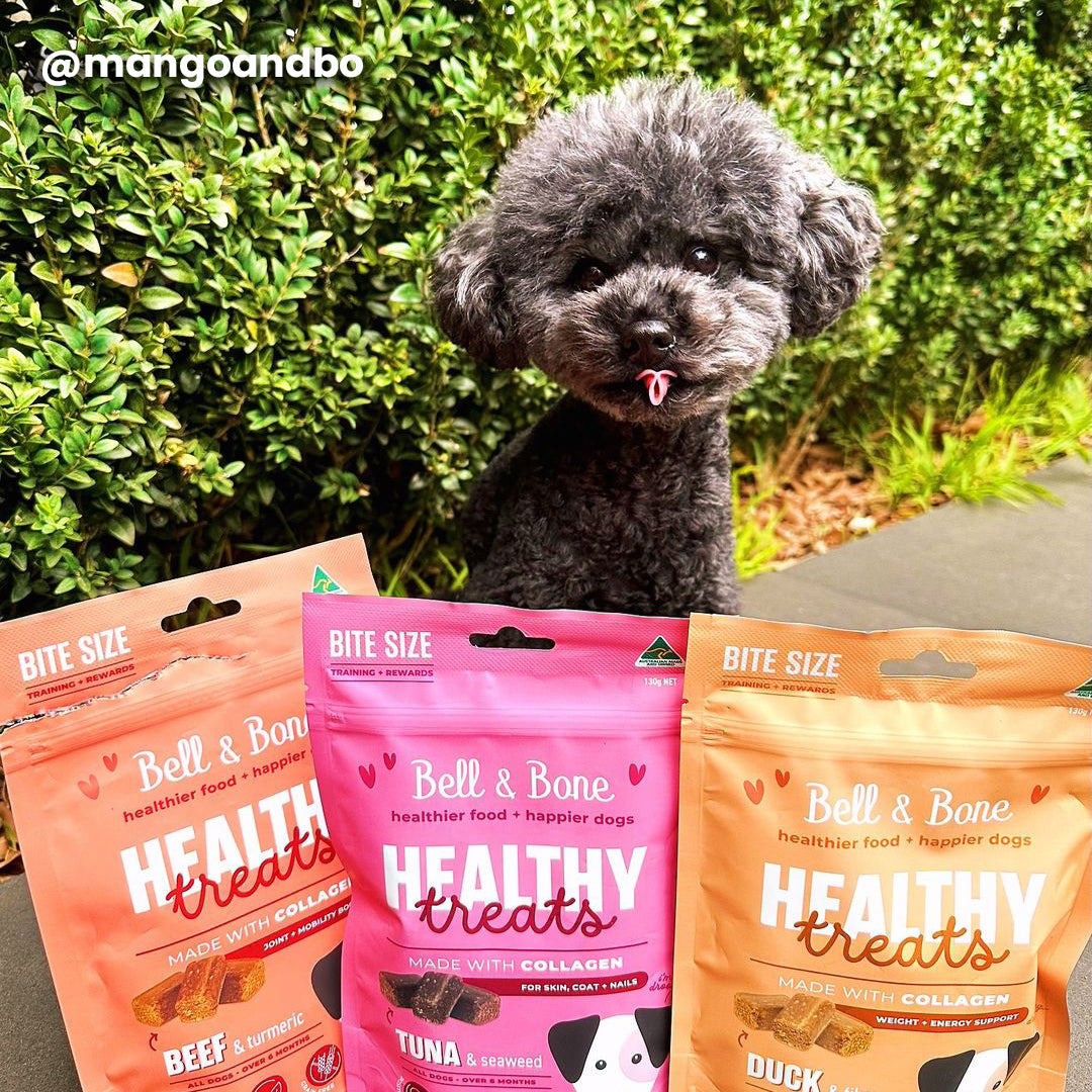 Dog Healthy Treats Bundle - 3 Pack