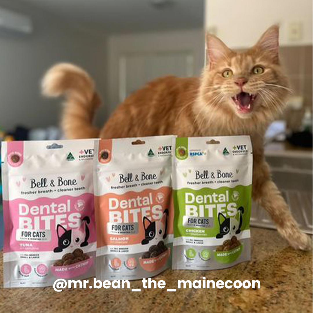Adult Cat Dental Bites - Tuna with Spirulina