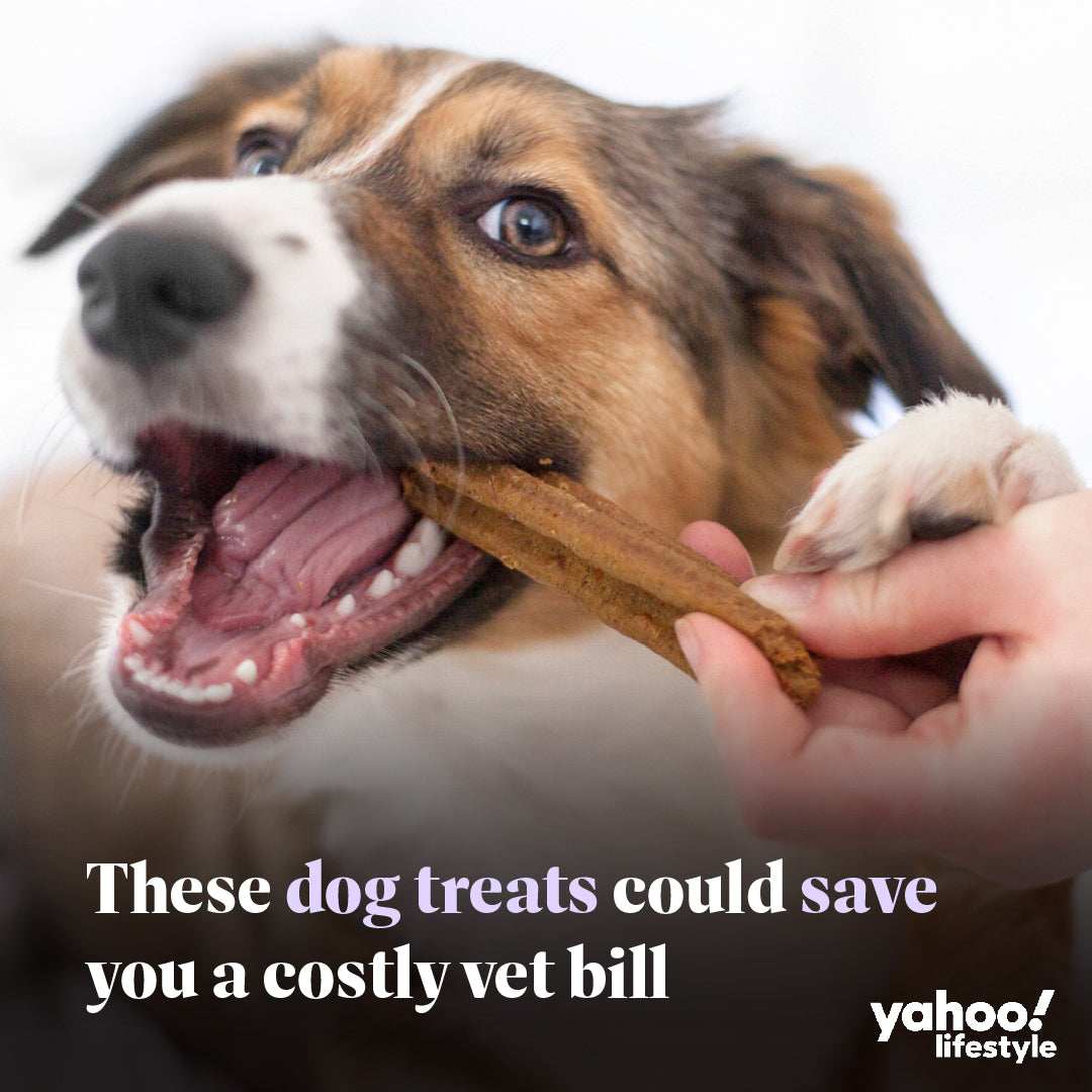 Senior Dog Health Bundle - 5 Pack