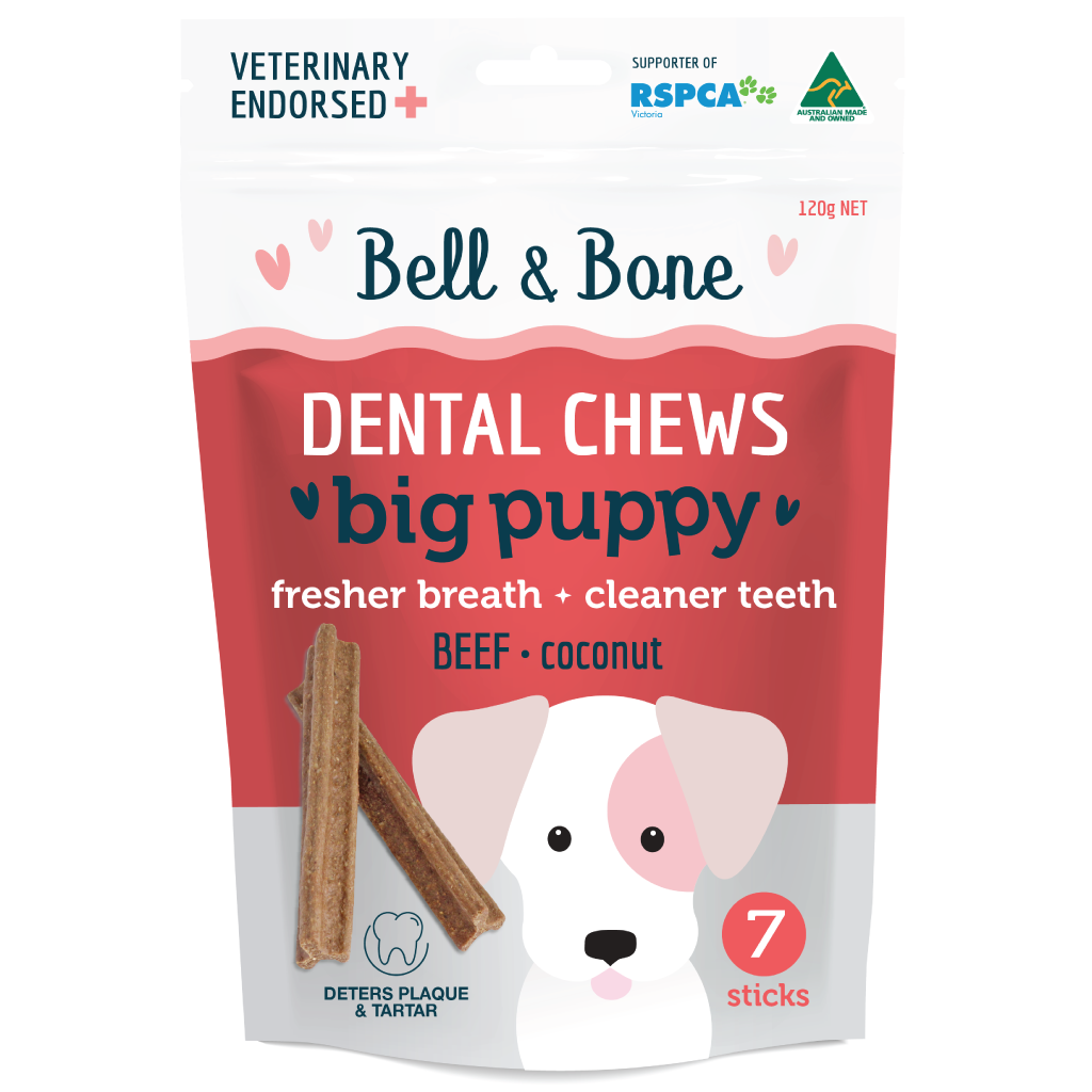 Chews a top puppy near me